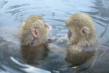 日式旅馆 Kamei No Yu