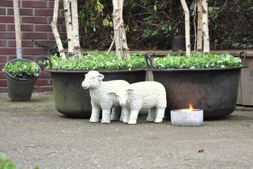 בית מלון כפרי De Stee