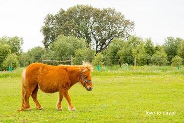 هتل روستایی Monte Chalaça   Turismo Rural