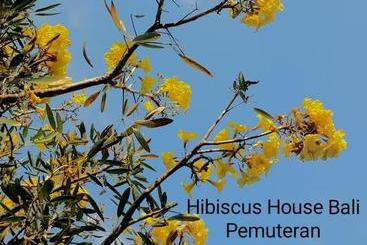 پانسیون Hibiscus House Pemuteran Bali