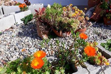 تختخواب و صبحانه La Dimora Degli Artisti