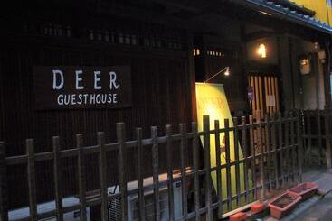 Deer Guesthouse   Hostel