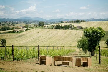 בית מלון כפרי Tenuta Dei Mori Wine Relais Events