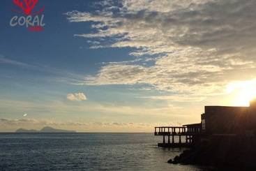 膳宿费 Coral Rooms