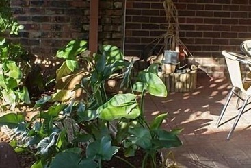 펜션 Ebony And Ivory