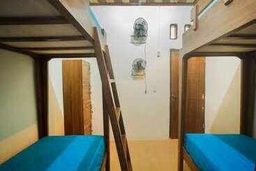 فندق صغير Dorme Tree