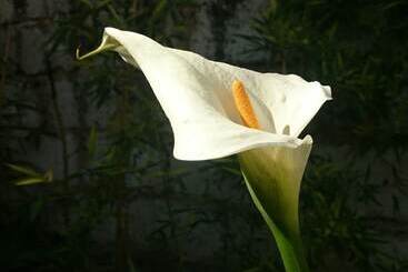 민박 Le Clos Chez Michel