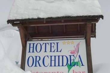 בית מלון כפרי Orchidea