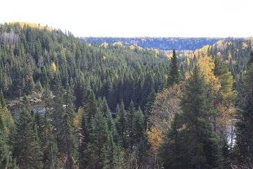 Motel Quatre Saisons