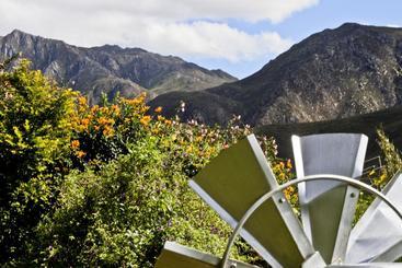 مبيت وإفطار Aasvoelkrans Guest Farm