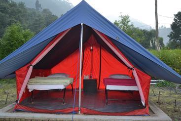 Balaut Resort