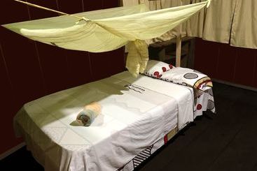 Отель Jg Expeditions Tours