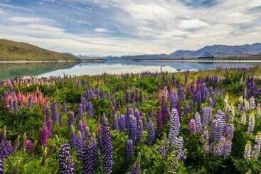 Lake Tekapo Village Motel