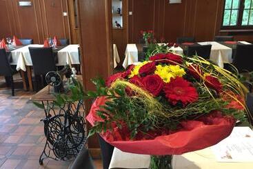 Bed and Breakfast Restaurant De L Europe