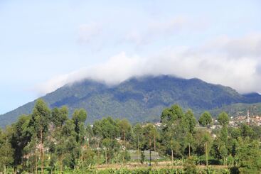 Отель Villa Lemon