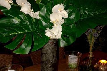 Bed and Breakfast Longo Maï