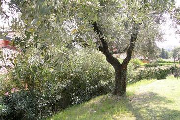 B&b Agli Ulivi