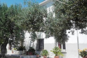 B&b Stella Dell'adriatico