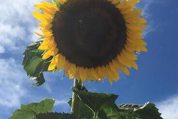 La Corte D Emilio B&b