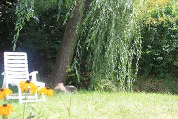 Отель Garnì Goccia D'oro