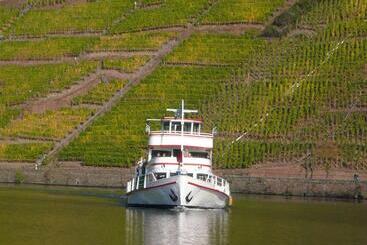 ホテル Mosel Landhaus B&b