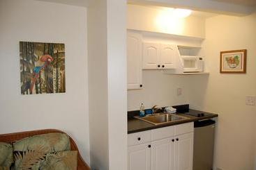 Alcazar Resort- Gay Mens Resort