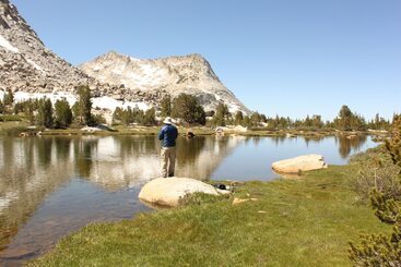 Жильё для туристов Inside Yosemite Mountain Beauty