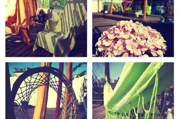 هاستل Casa Vegana