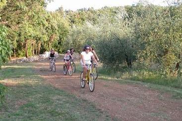 تختخواب و صبحانه Borgo Gallinaio