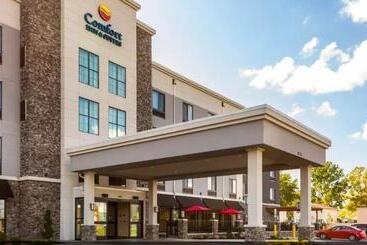Отель Comfort Inn & Suites Niagara Falls Blvd Usa