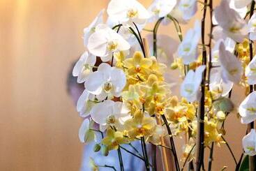 فندق Express Inn Newport News