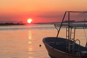 فندق صغير Casa Paloma Blanca