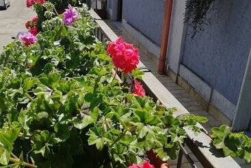 Bed and Breakfast Donna Melina