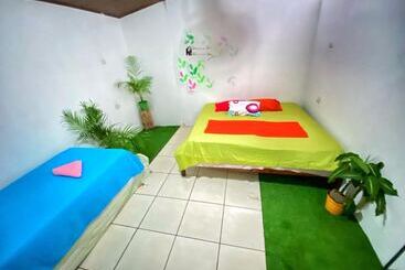 Passifloras Hostel