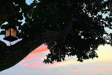 渡假胜地  Pulau Weh Paradise