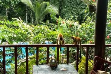 هتل Manuel Antonio Park House  Adults Only