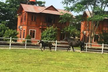 Apm Equestrian Resort