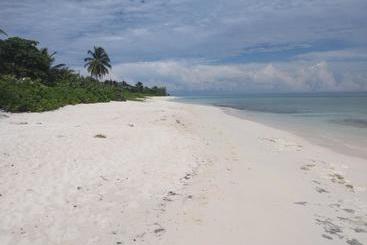 ツーリストアパートメント Bell At The Airport Suites   Adults Only