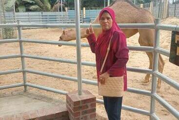 Anggerik Impian Hotel  Best For Travellers At Kuala Berang