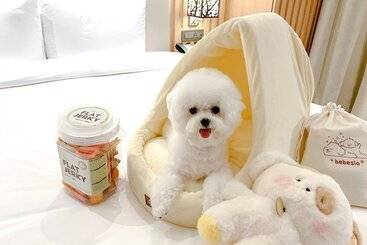 هتل Courtyard By Marriott Seoul Botanic Park