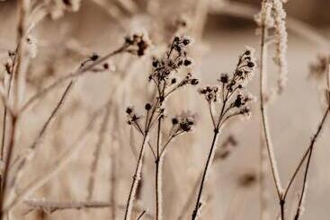 Отель Stiftsgården Tallnäs