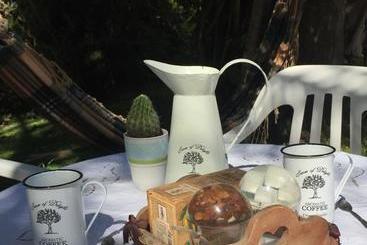 ベッドアンドブレックファースト Casa De Huã©spedes El Trebol