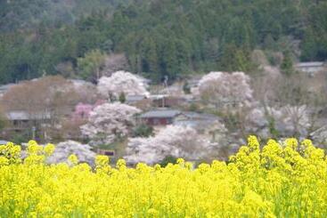 ریوکان Ryoso Chatani