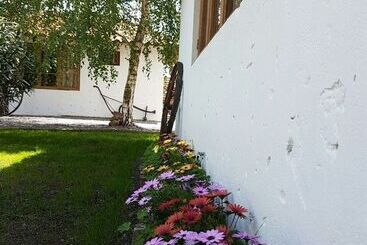 مبيت وإفطار Cabañas Tierra Y Vino Colchagua