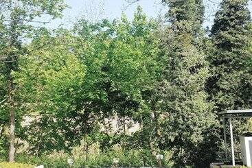 Akzent Hotel Villa Saxer