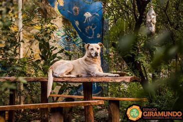 Hostel Eco Cultural Giramundo
