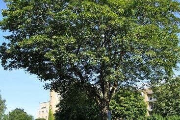 Отель L Linnéa