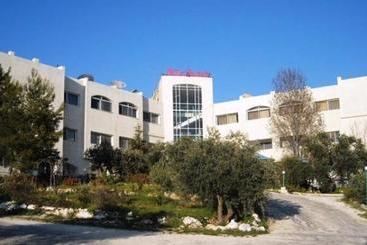 هتل Olive Branch