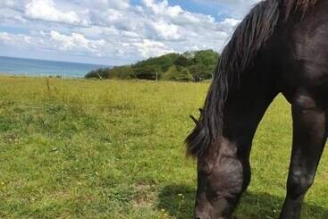 בית מלון כפרי Hôtel De La Terrasse