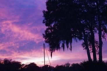 فندق Hontoon Landing Resort & Marina